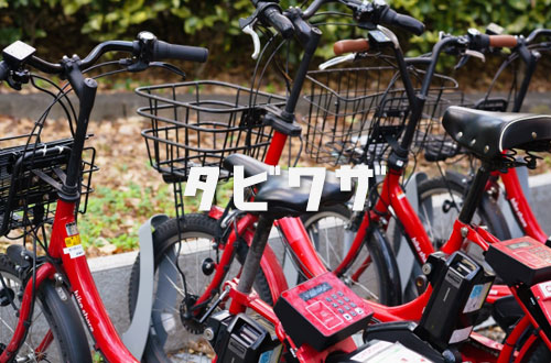 ひつじ屋の写真1