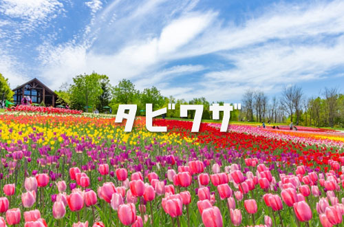 猪苗代カヌークラブ&みなとやカヤックの写真1