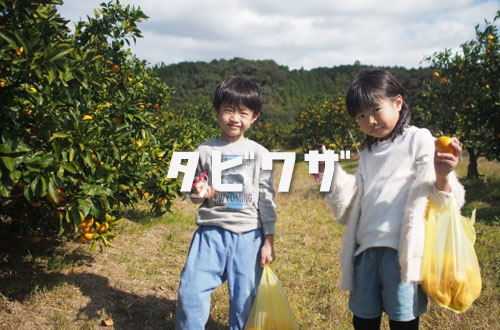 まったり〜村の小さな農園の写真1