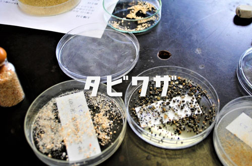 求菩提資料館の写真1