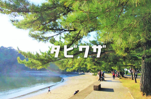 黒崎小公園の写真1