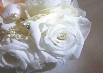 フェアリーハート湘南鎌倉の写真1