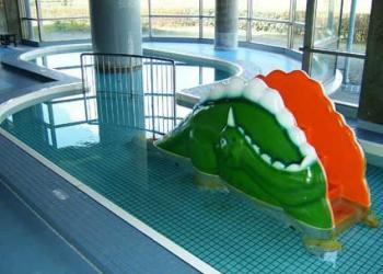 ビジョンよしだ　プールの写真1