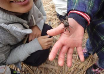 足立区荒川ビジターセンターの写真1