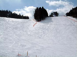 知内町営スキー場の写真1