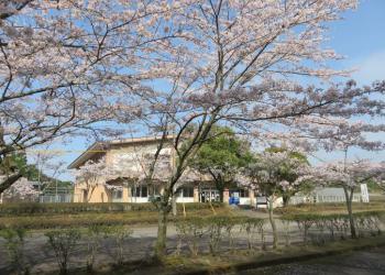 霧島緑の村の写真1