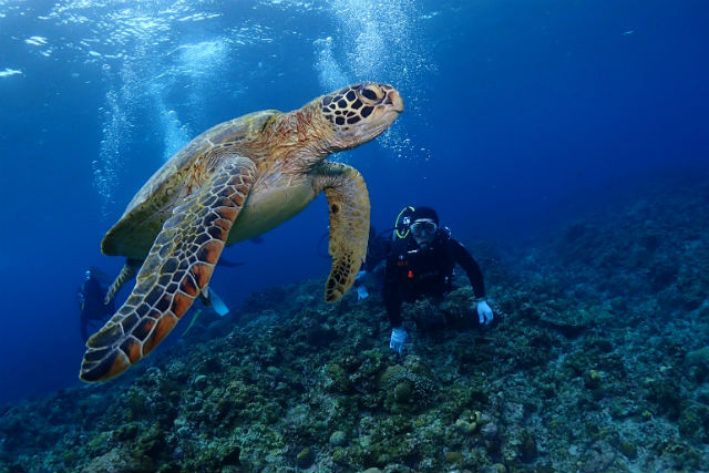 Johnny's divingの写真1