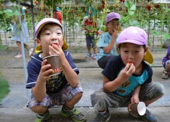 アクアロマン　いちご中川園の写真1