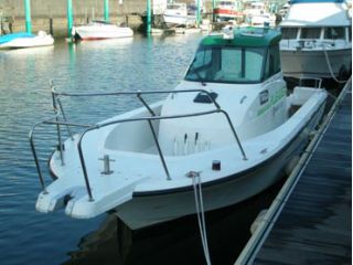 プレアデスの写真1