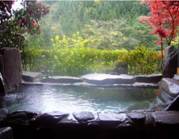 生竜温泉 家族風呂 七福の写真1