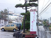 桜温泉 さくらさくらの写真1