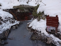 大湯沼川天然足湯の写真1