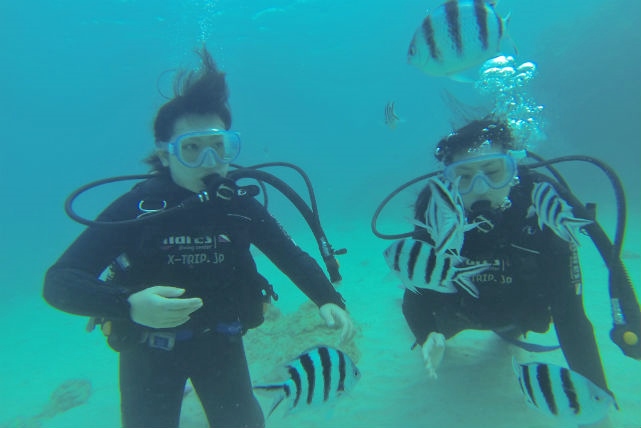 沖縄マリンスタジオの写真1