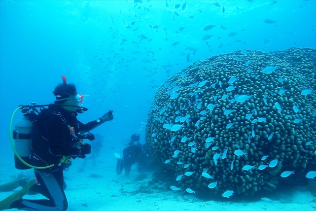 マレア石垣島の写真1