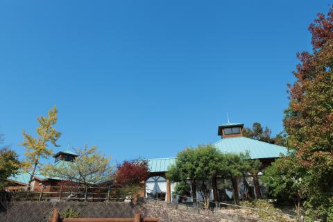 霧の里本館の写真1