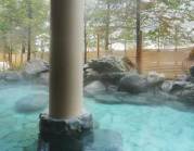 鹿角市大湯温泉保養センター 湯都里の写真1