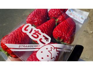 岩槻いちごファームNakaiwaの写真1