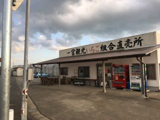 一宮観光いちご組合の写真1