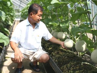 安田農園の写真1