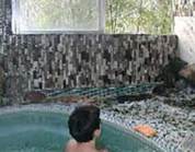 やまた旅館の写真1