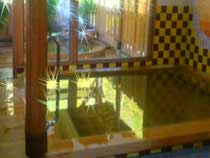 観音の湯の写真1