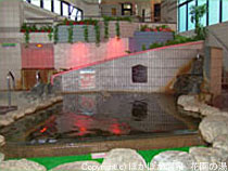 炭酸美肌温泉 らんぷの湯(花園店)の写真1