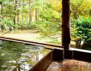 つつじ亭の写真1