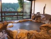 彩もみぢの写真1