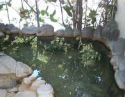 天草下田温泉センター白鷺館の写真1