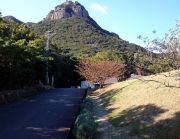 吉田温泉ふれあいの湯の写真1