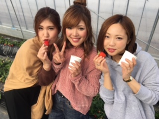 岩崎農園の写真1