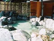 おがせ天然湯　せんらく温泉の写真1