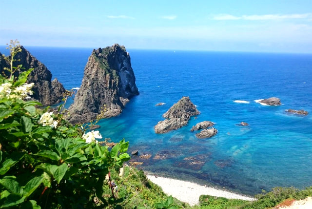 北海道小樽観光 個人はなタクシーの写真1