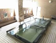 薬師温泉の写真1