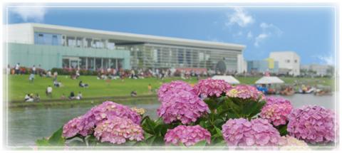 道の駅 多古 あじさい館の写真1
