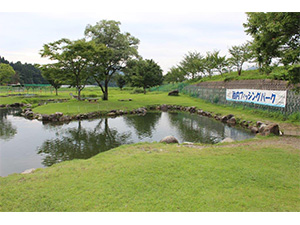 胎内フィッシング&amp;ボートパークの写真1