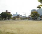 東町公園の写真1