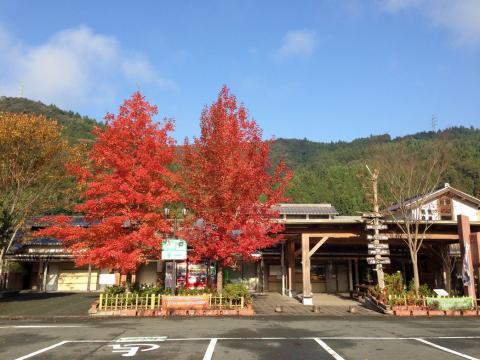 道の駅 土佐さめうらの写真1