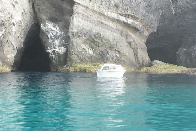 KANEHIDE MARINEの写真1