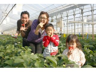 小山ファームの写真1