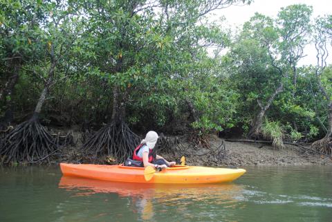 黒潮の森マングローブパークの写真1