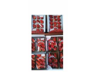 りっちゃん農園の写真1