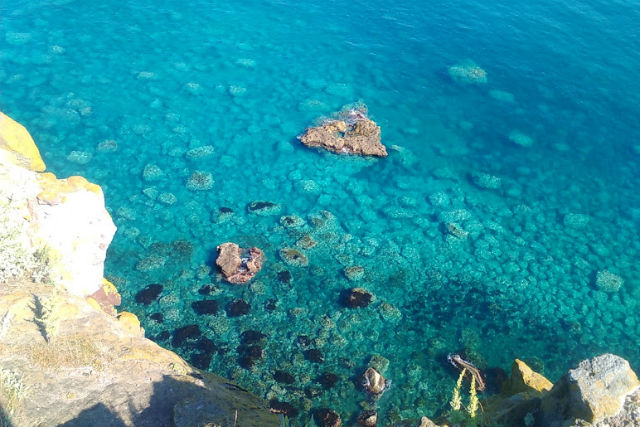 北海道観光個人 生田タクシーの写真1