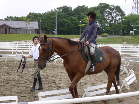 乗馬クラブクレイン仙台泉パークタウンの写真1