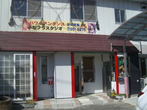 ハワイアンダンスの小松フラスタジオの写真1