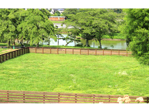 わんダフルネイチャーヴィレッジの写真1