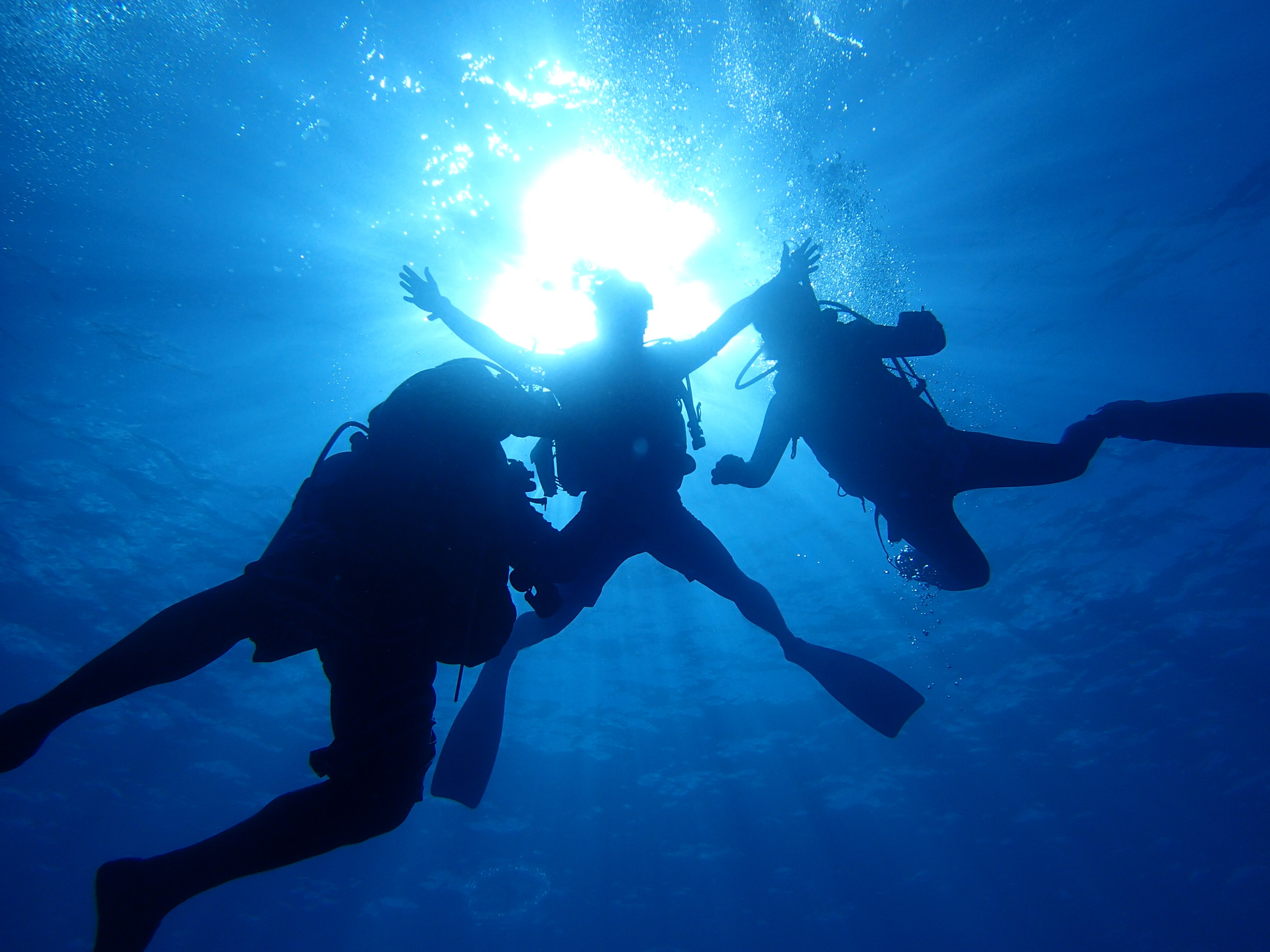 ダイビングショップoasisの写真1