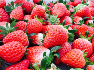 いちご園みないの写真1