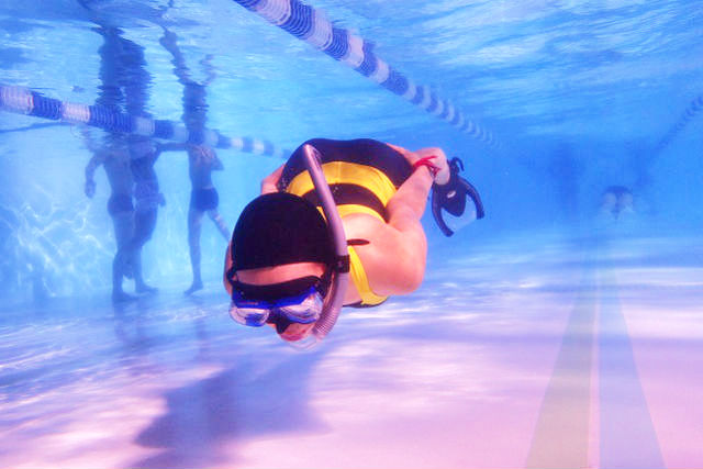 ぽんたドルフィンスイムクラブの写真1