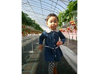 農事組合法人　たてやま営農組合の写真1